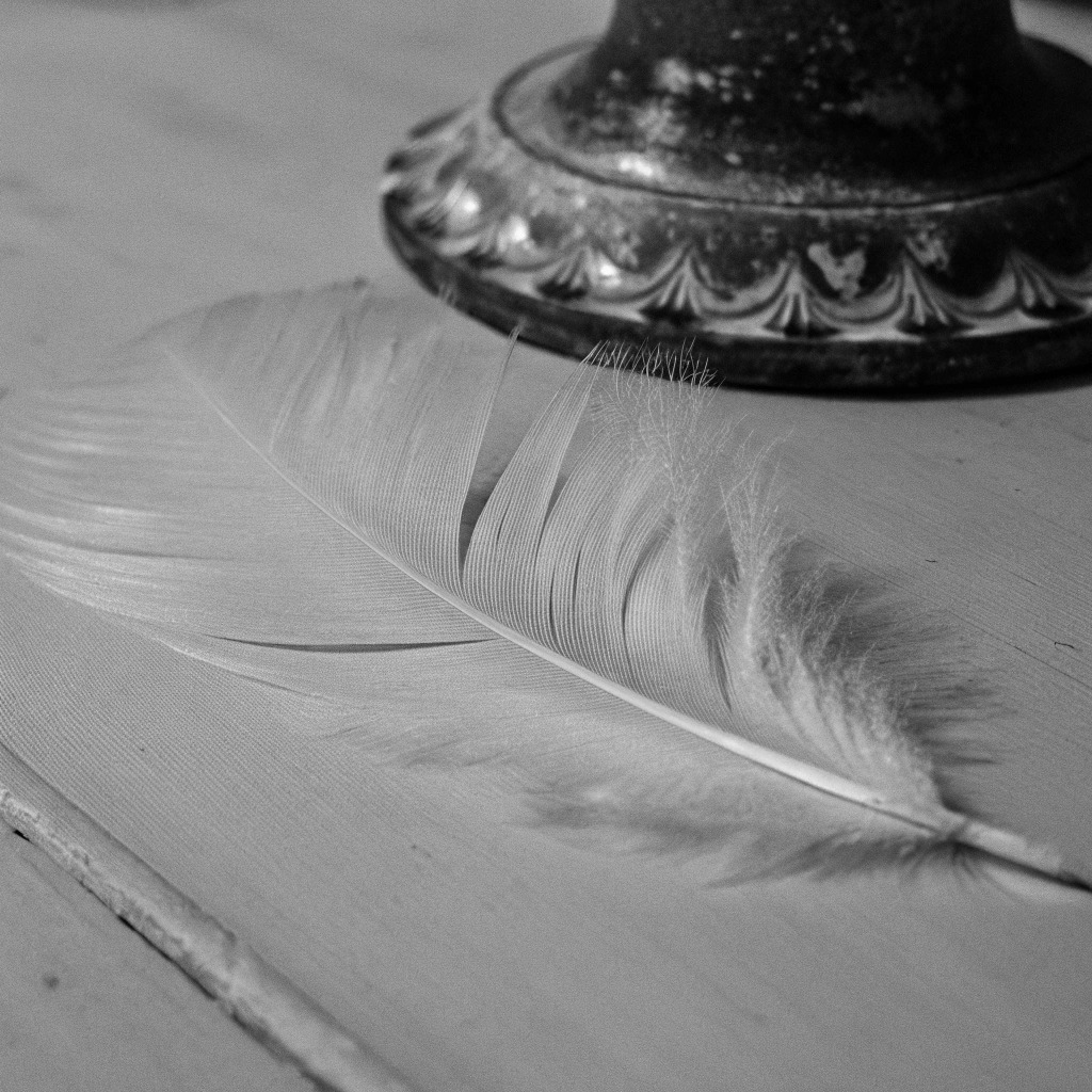 Certyfikowana kołdra z puchu gęsiego bezpieczna dla alergików.